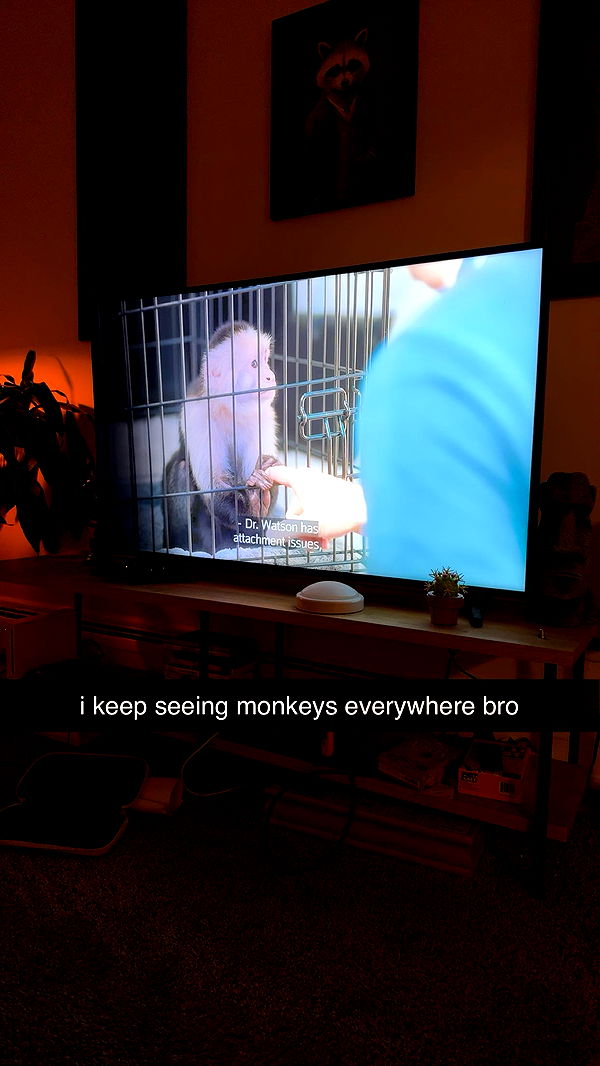 c.aitknight image ~ Altpins