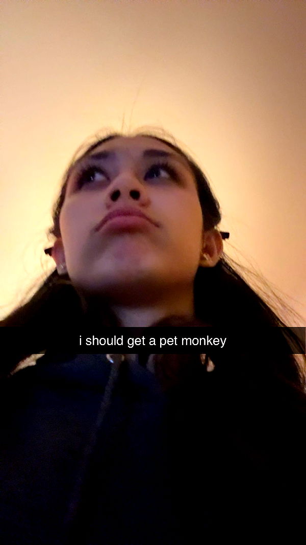 c.aitknight image ~ Altpins