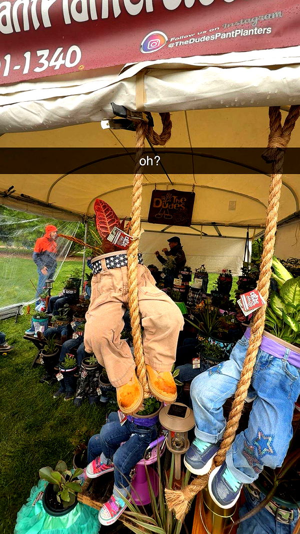 c.aitknight image ~ Altpins