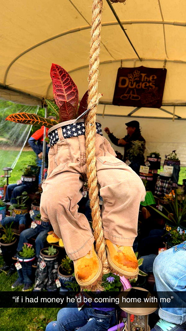 c.aitknight image ~ Altpins