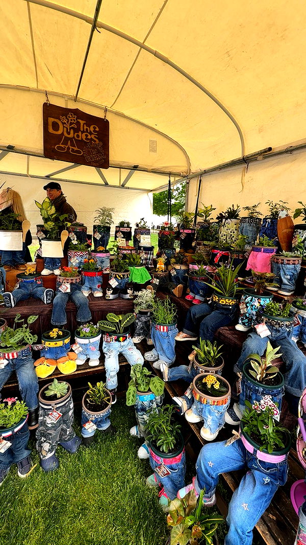 c.aitknight image ~ Altpins