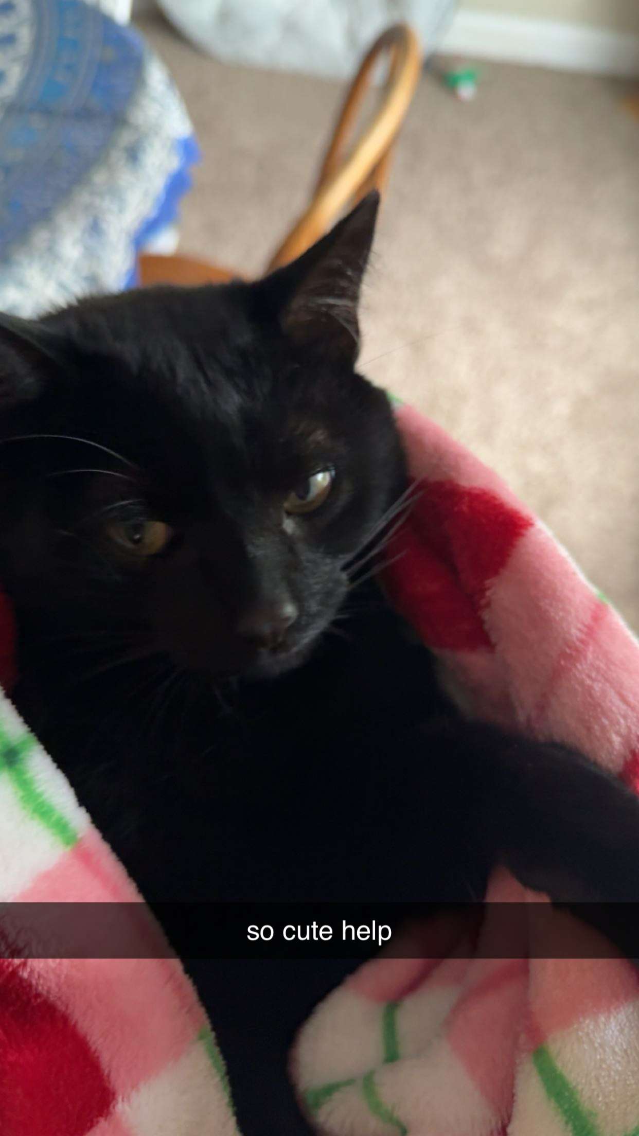 c.aitknight snapchat image archive image