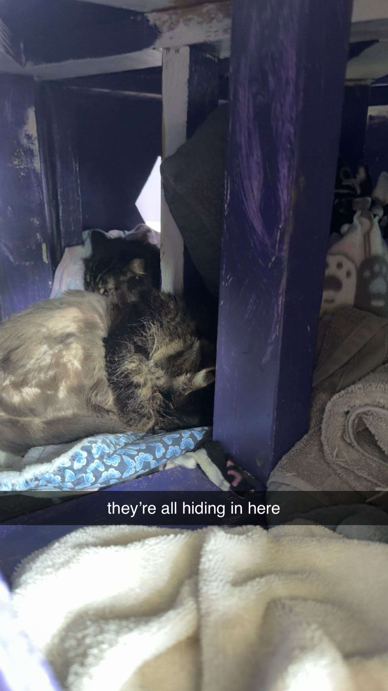 c.aitknight snapchat image archive image