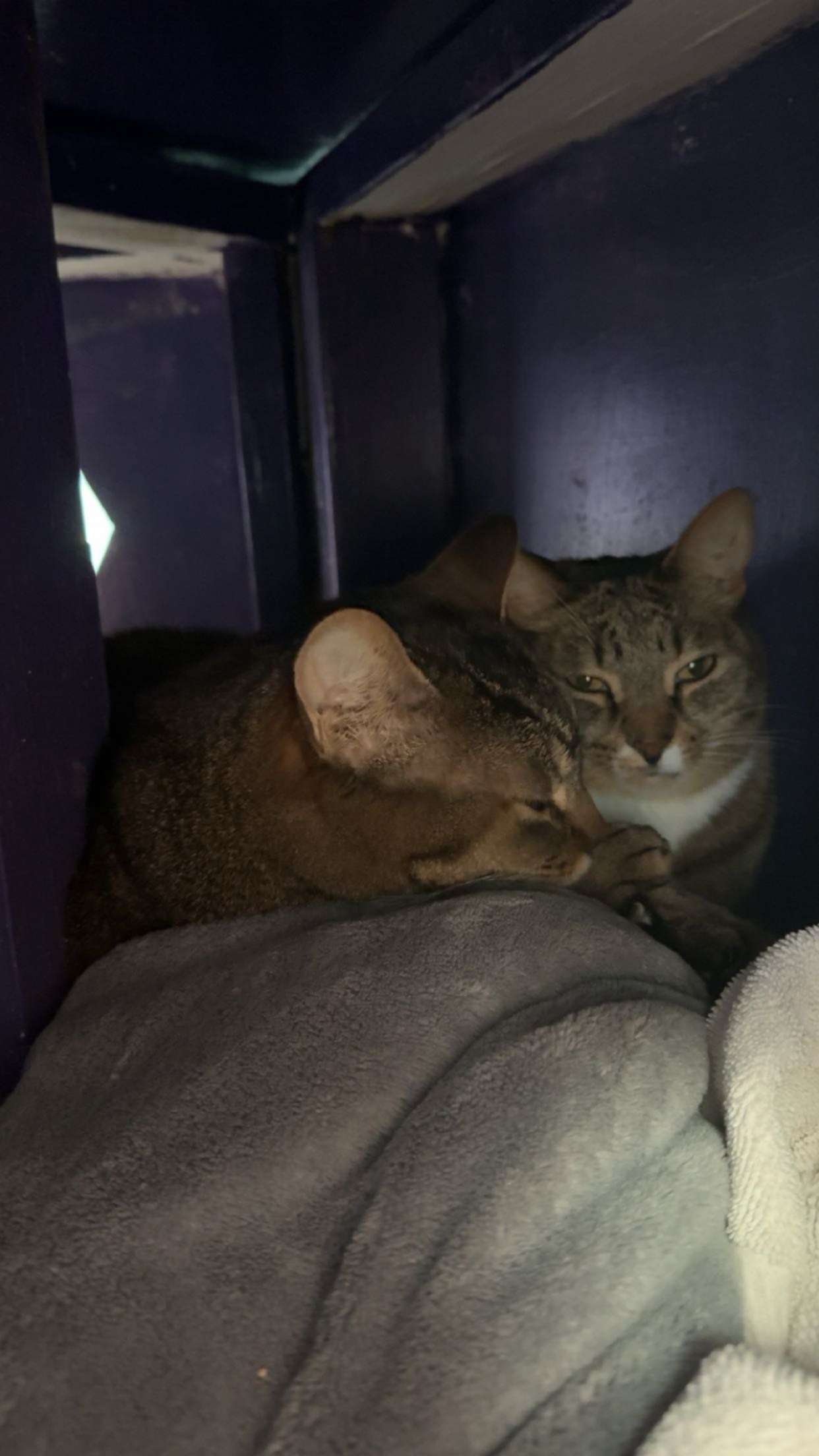 c.aitknight snapchat image archive image