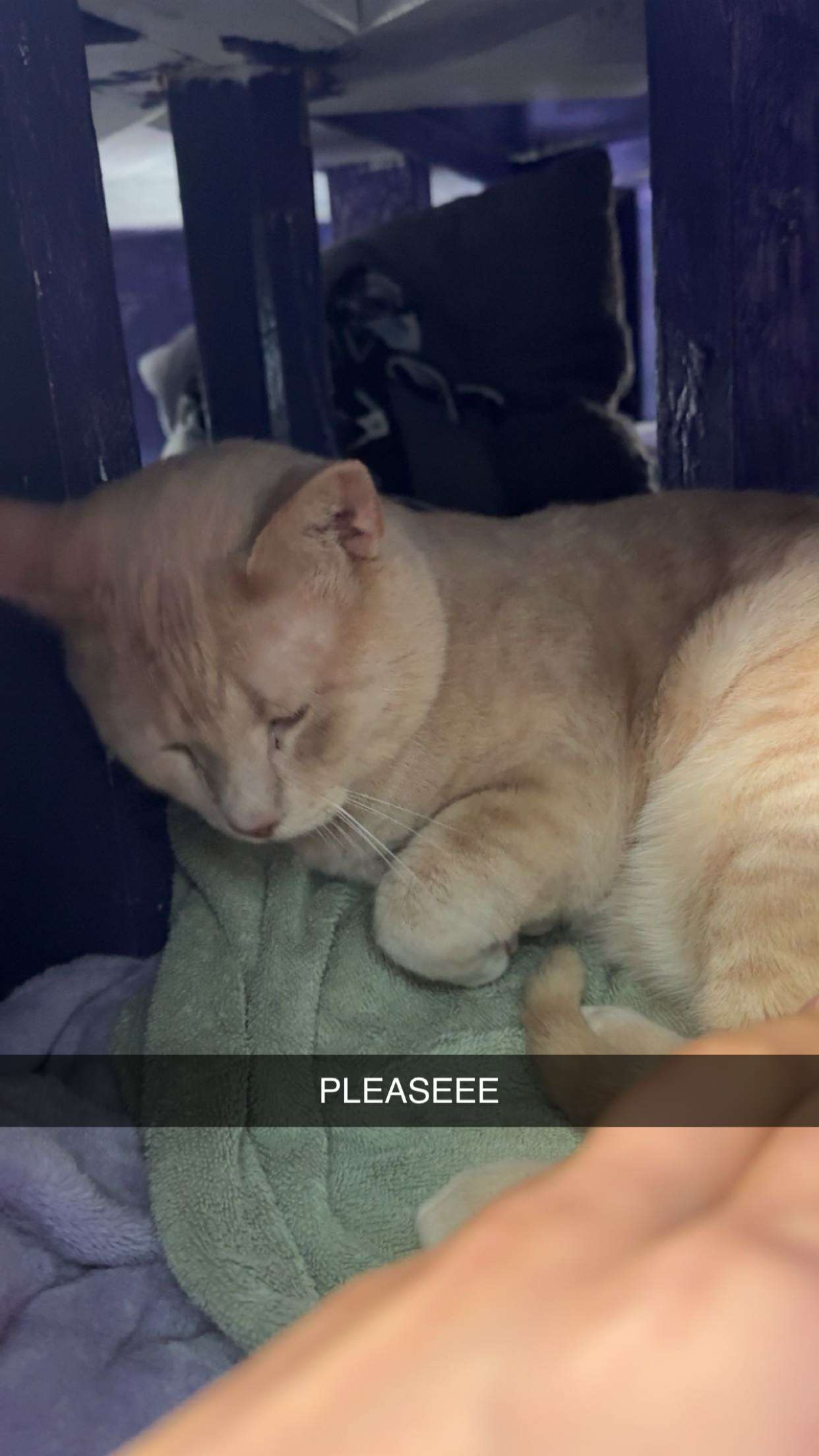 c.aitknight snapchat image archive image