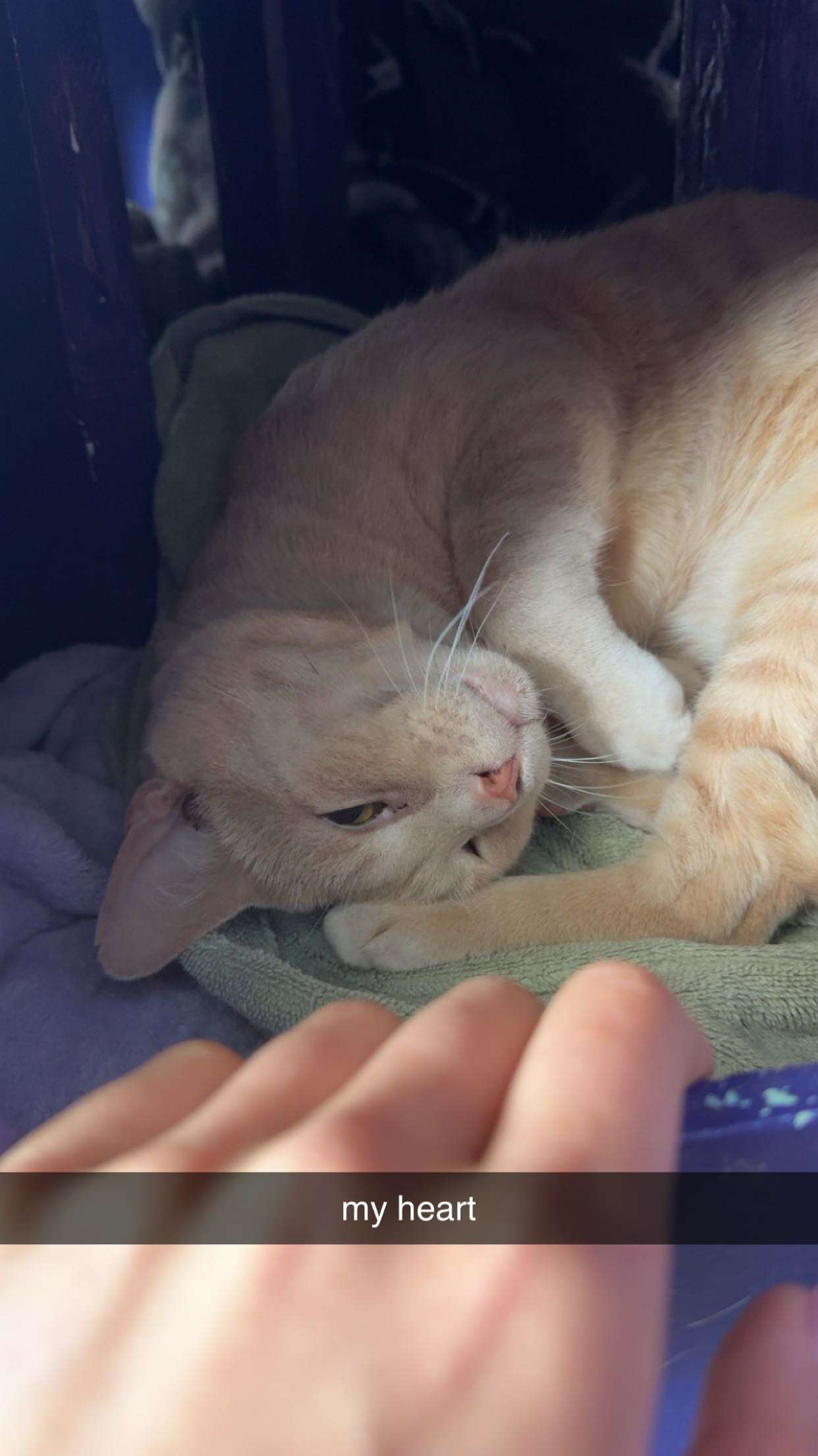 c.aitknight snapchat image archive image