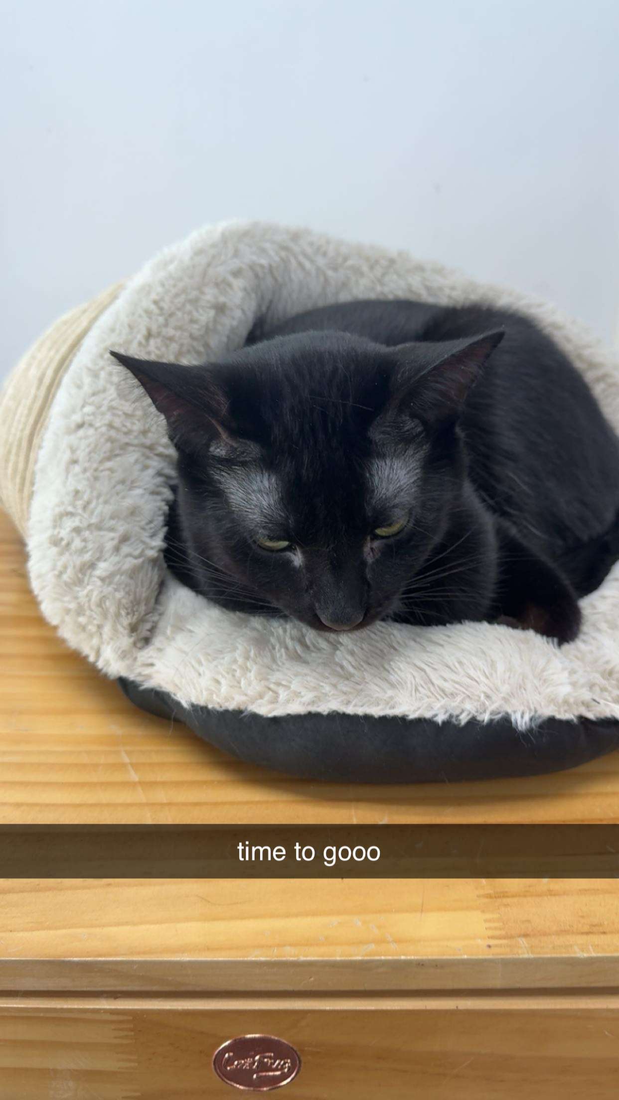 c.aitknight snapchat image archive image