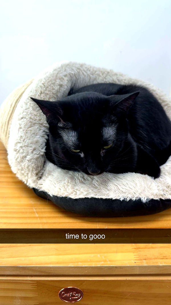 c.aitknight image ~ Altpins