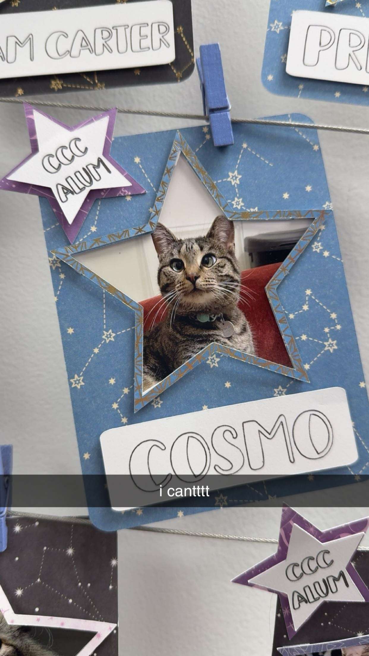 c.aitknight snapchat image archive image