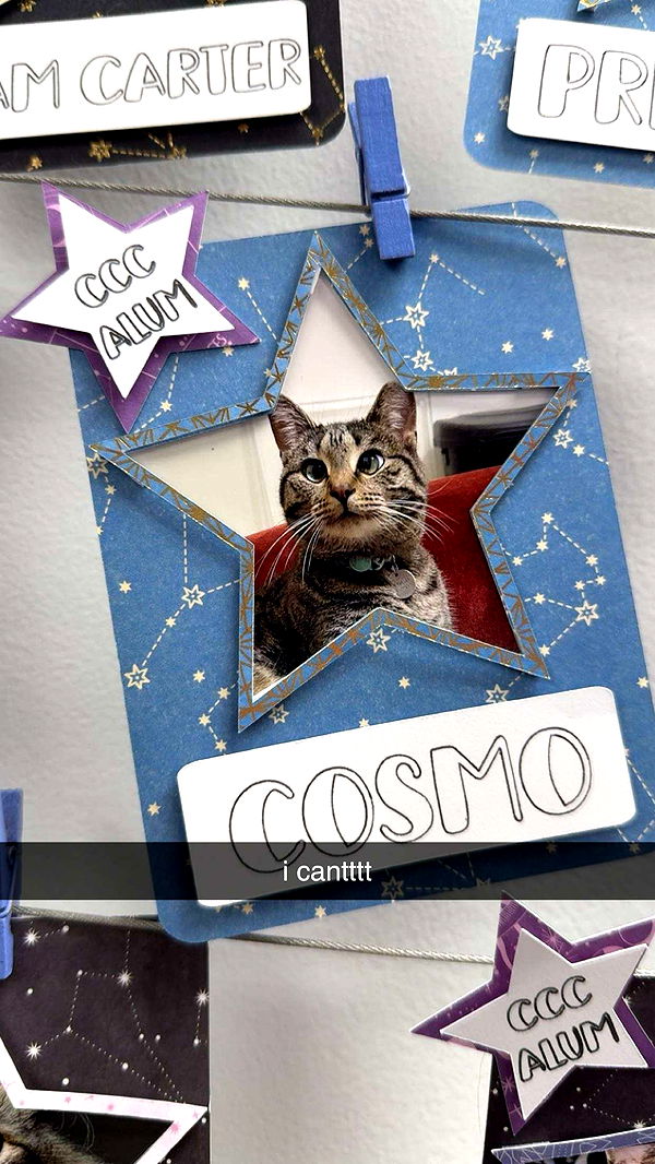 c.aitknight image ~ Altpins