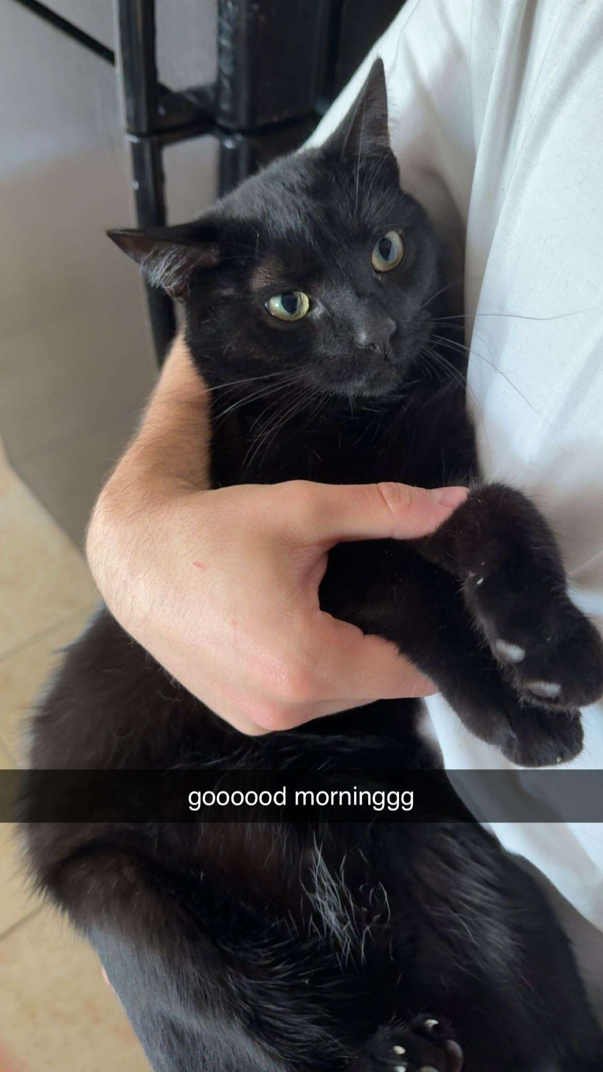 c.aitknight snapchat image archive image