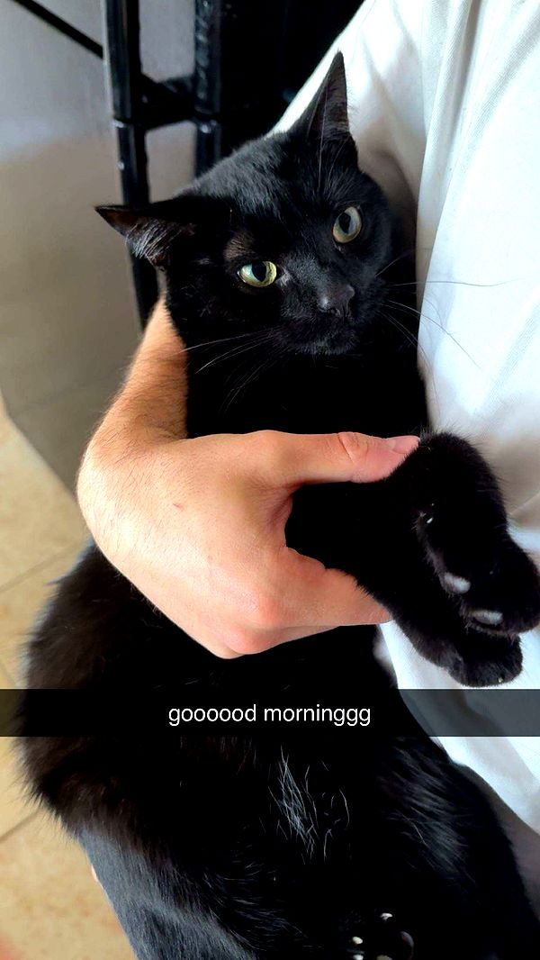 c.aitknight image ~ Altpins