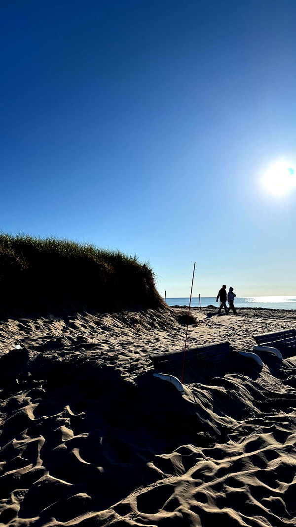 c.aitknight image ~ Altpins