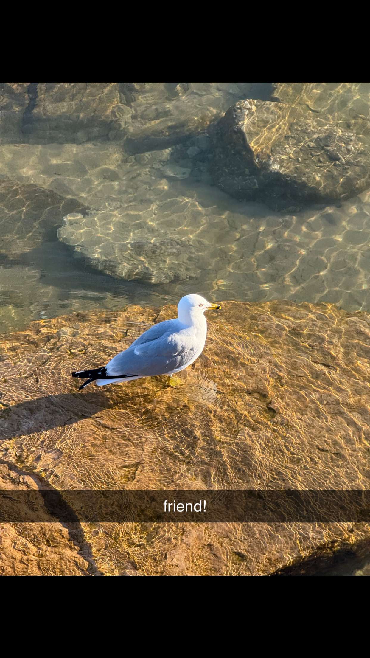 c.aitknight snapchat image archive image