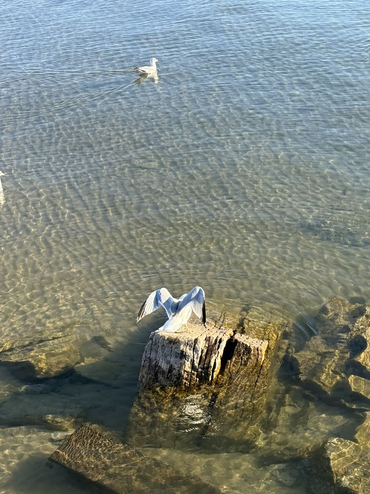 c.aitknight snapchat image archive image