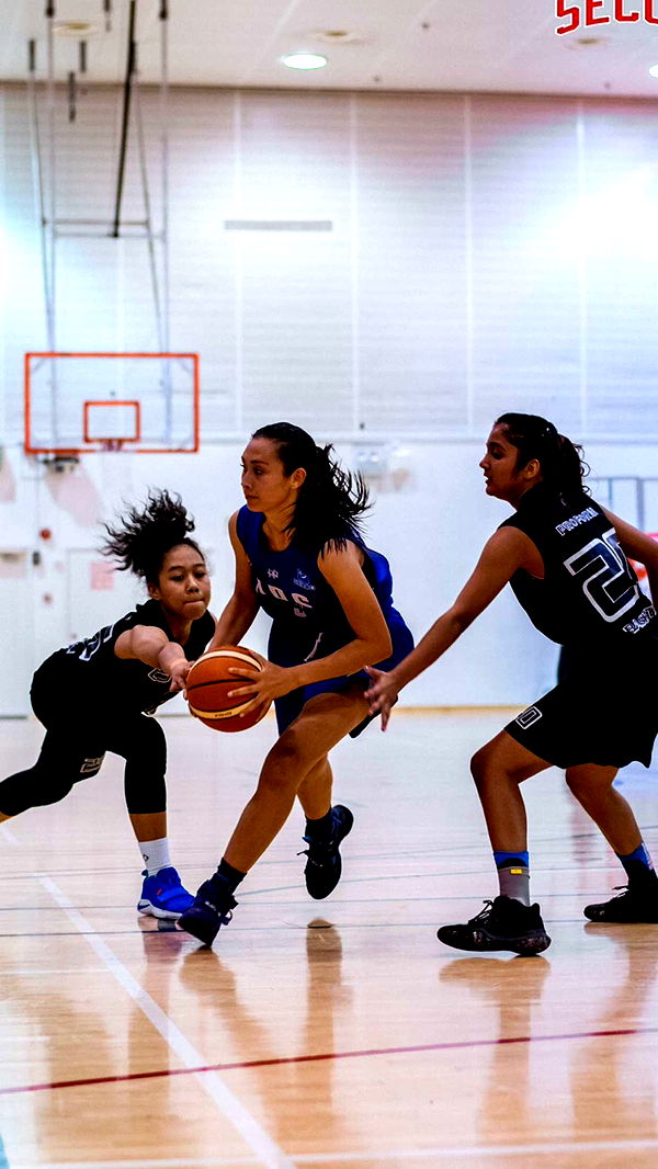 c.aitknight image ~ Altpins