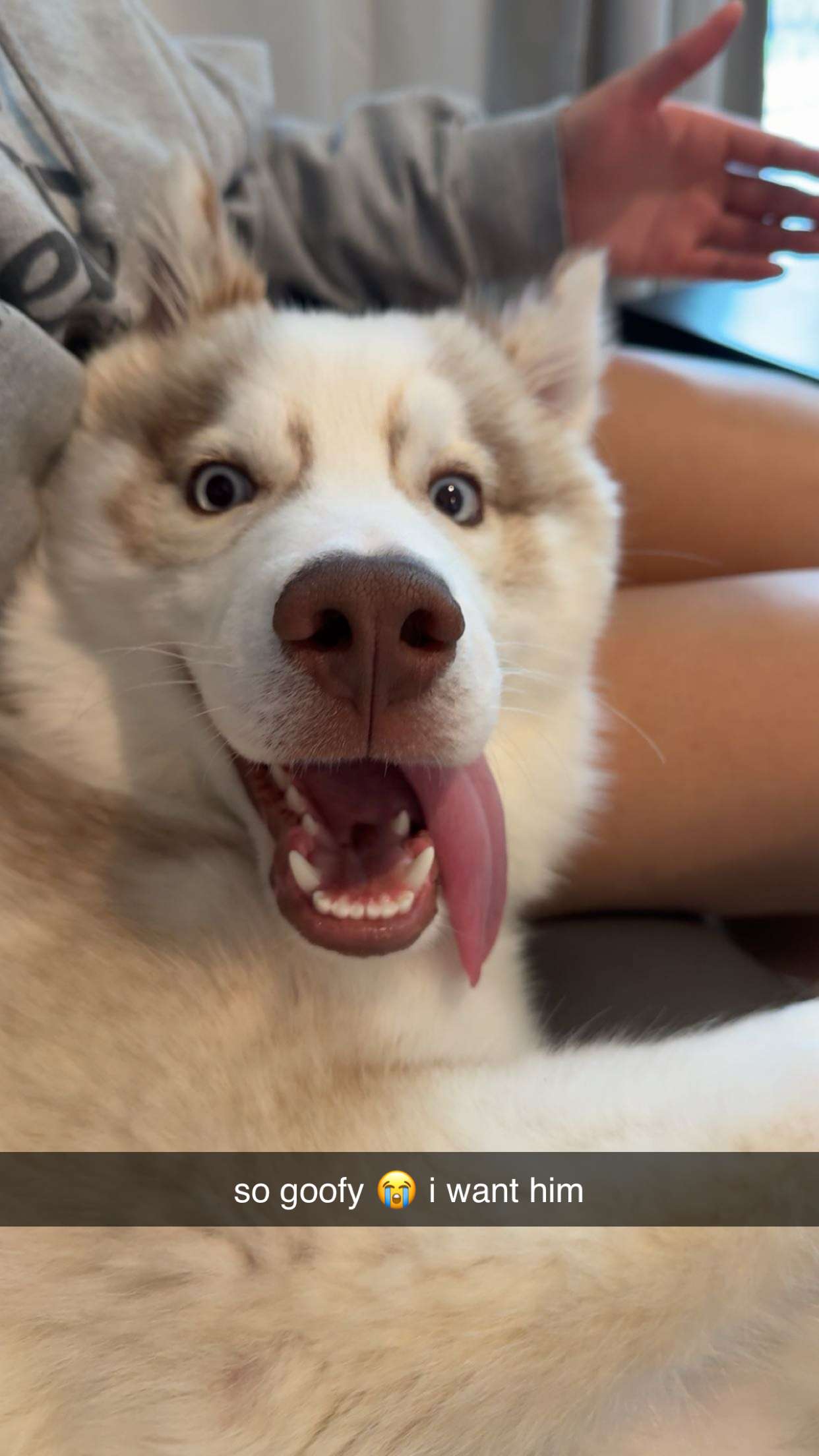 c.aitknight snapchat image archive image