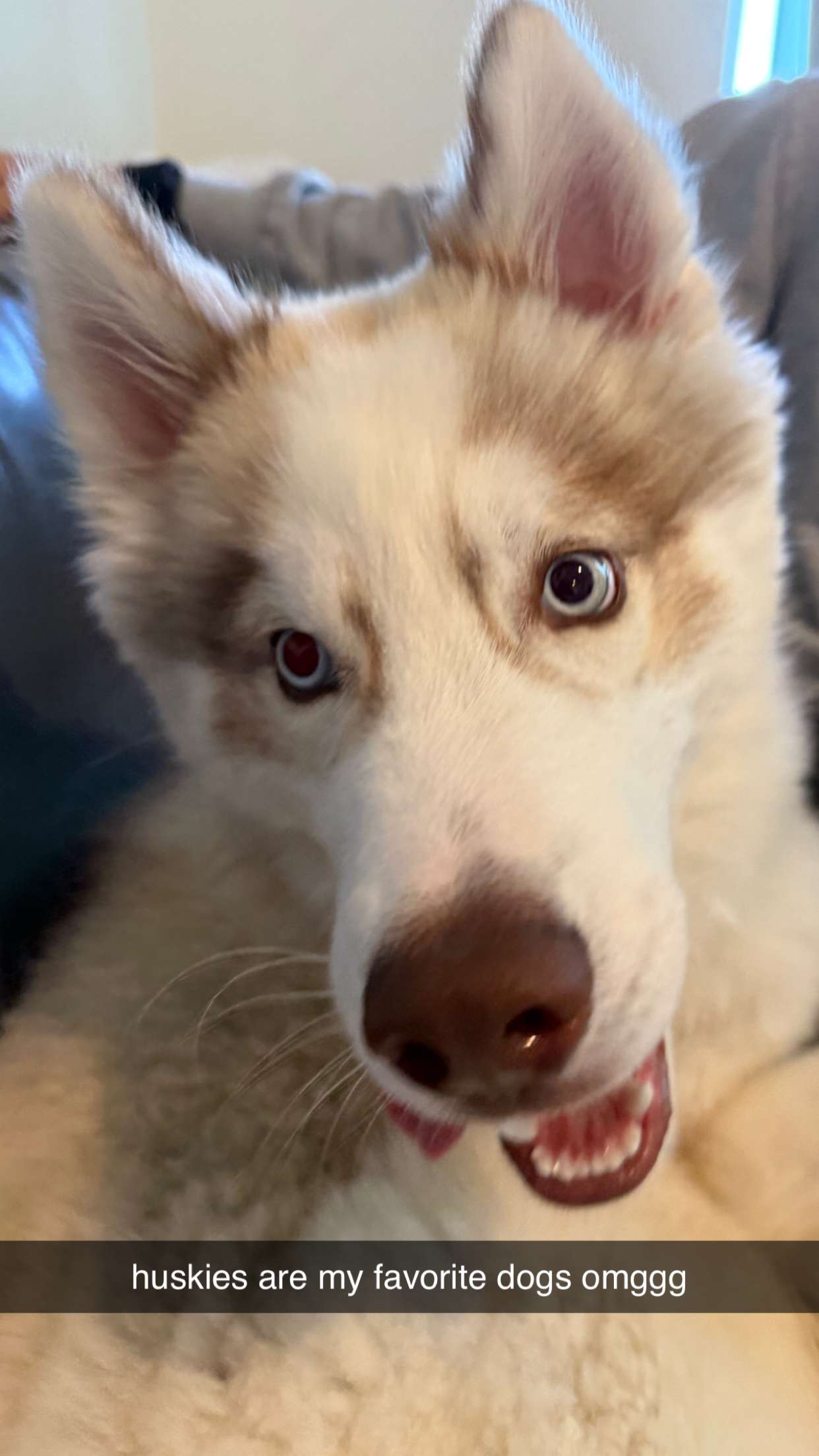 c.aitknight snapchat image archive image