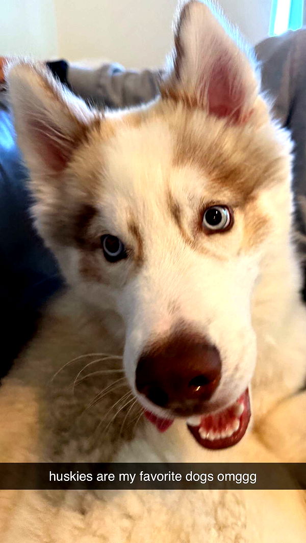 c.aitknight image ~ Altpins