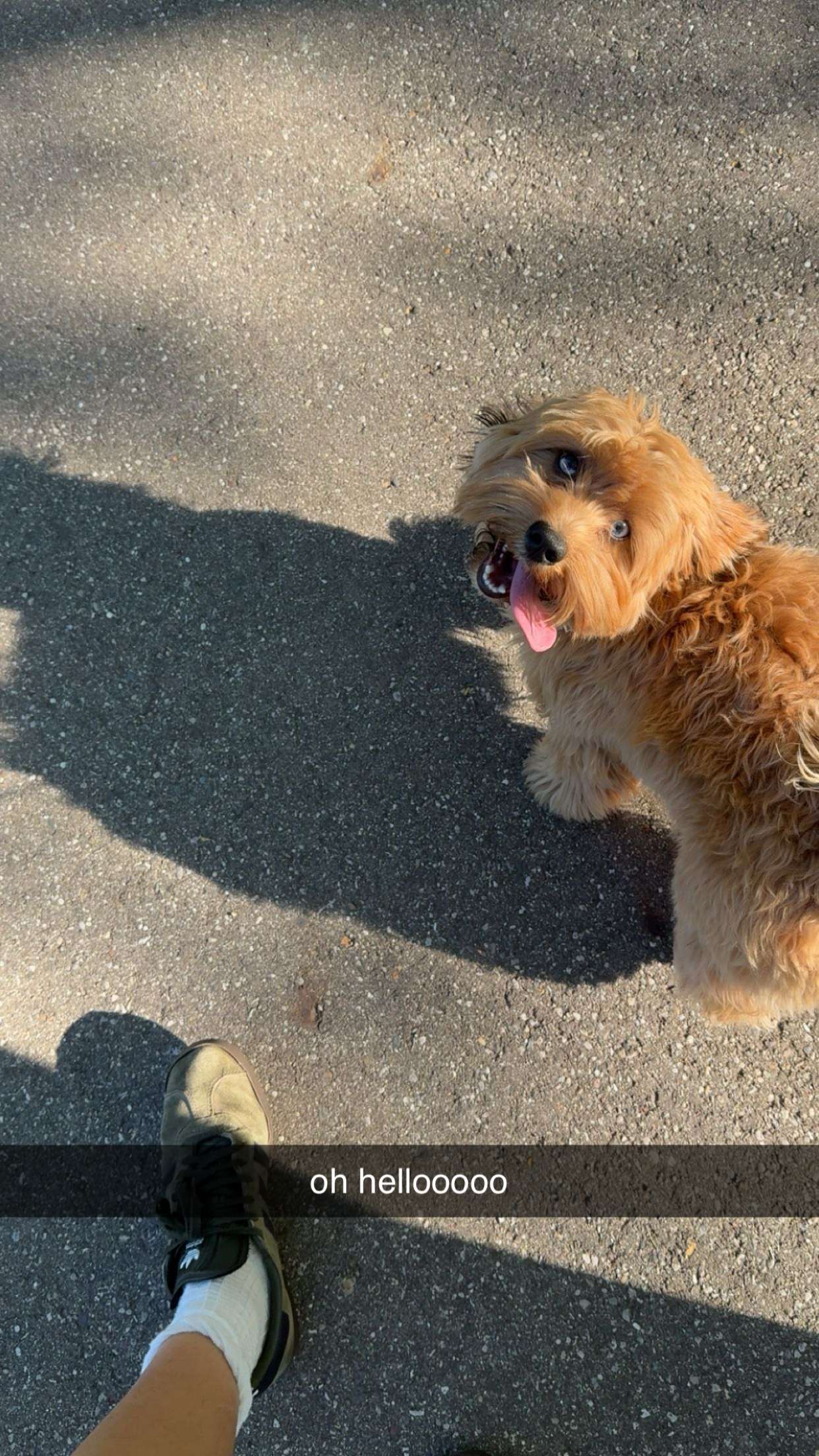 c.aitknight snapchat image archive image