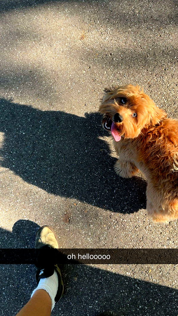 c.aitknight image ~ Altpins