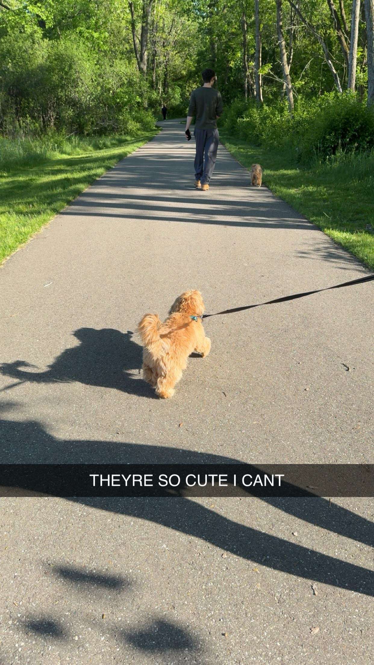 c.aitknight snapchat image archive image