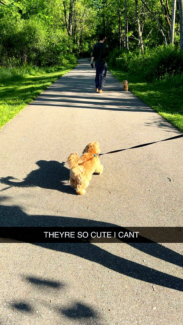 c.aitknight image ~ Altpins