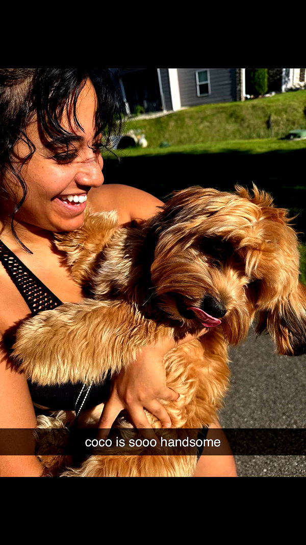 c.aitknight image ~ Altpins