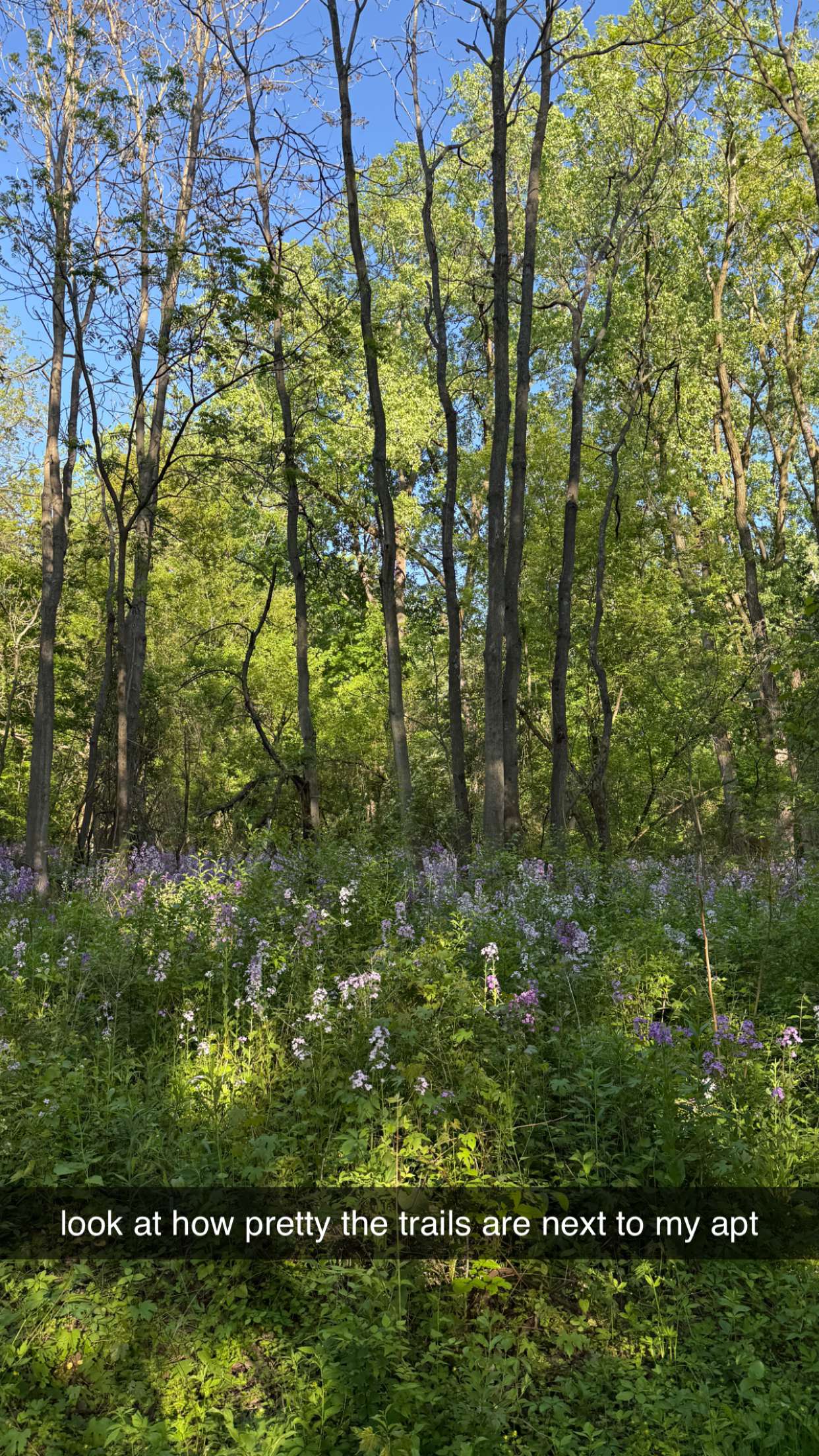 c.aitknight snapchat image archive image