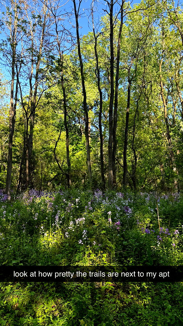 c.aitknight image ~ Altpins