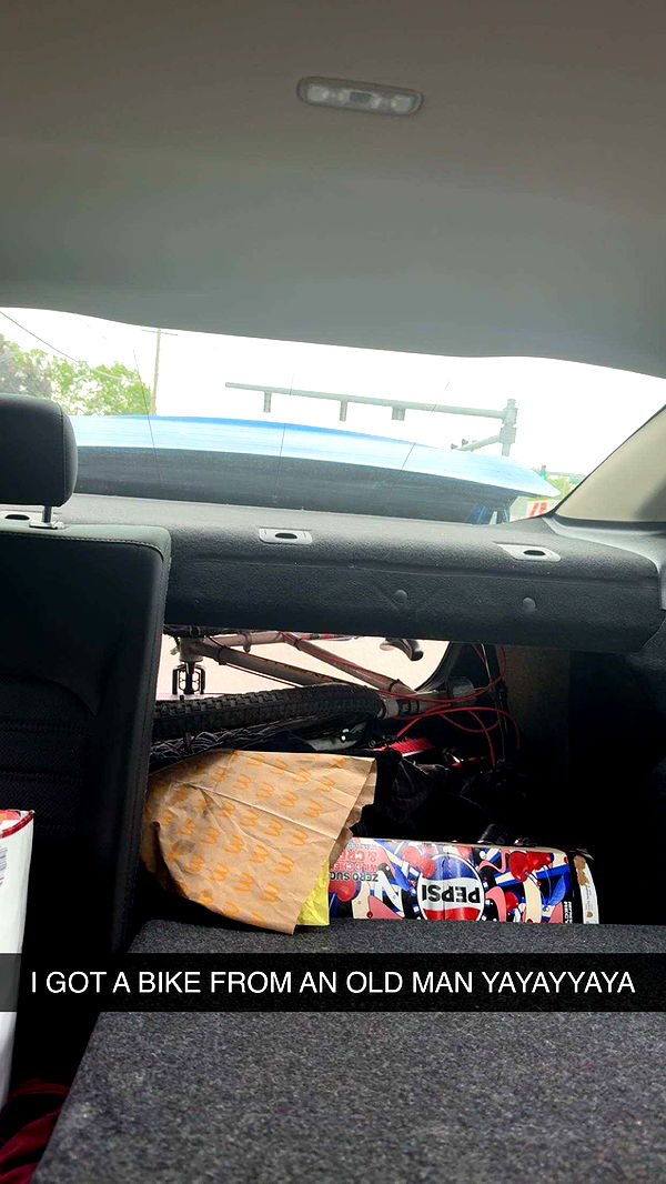 c.aitknight image ~ Altpins