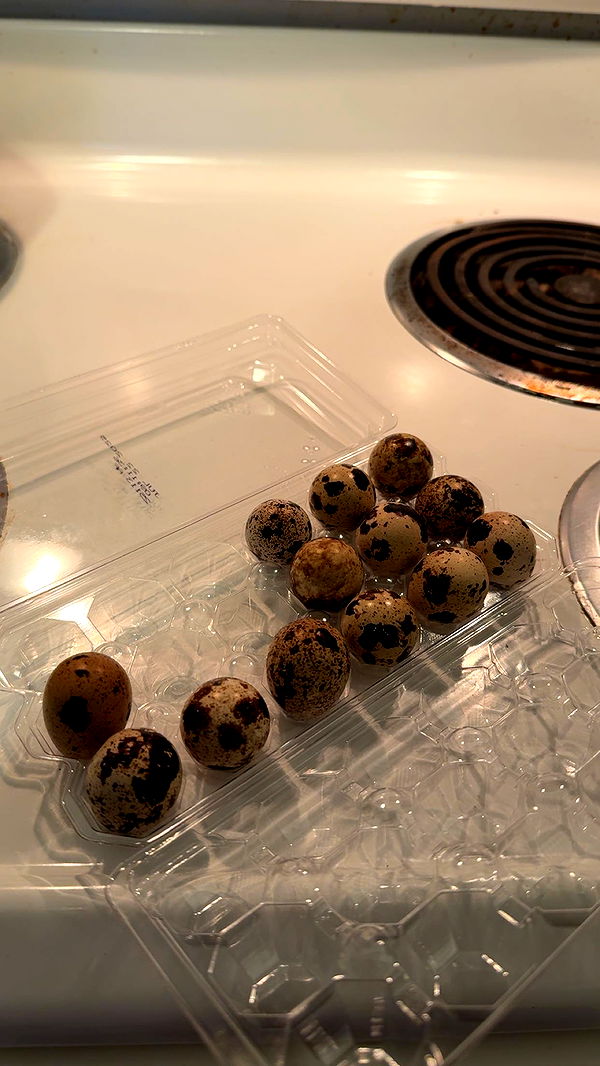 c.aitknight image ~ Altpins