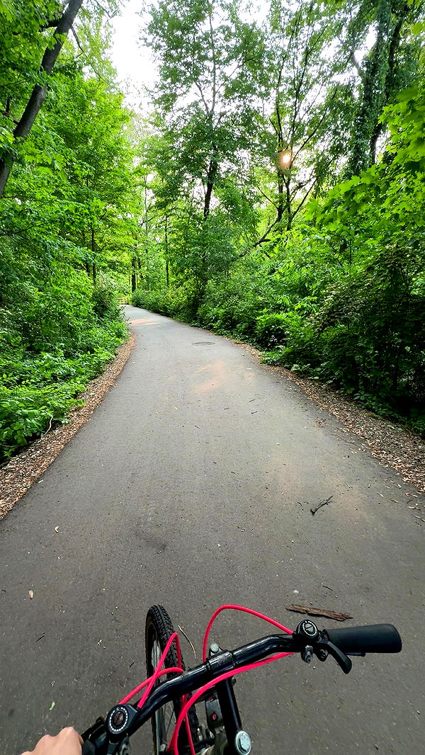 c.aitknight image ~ Altpins