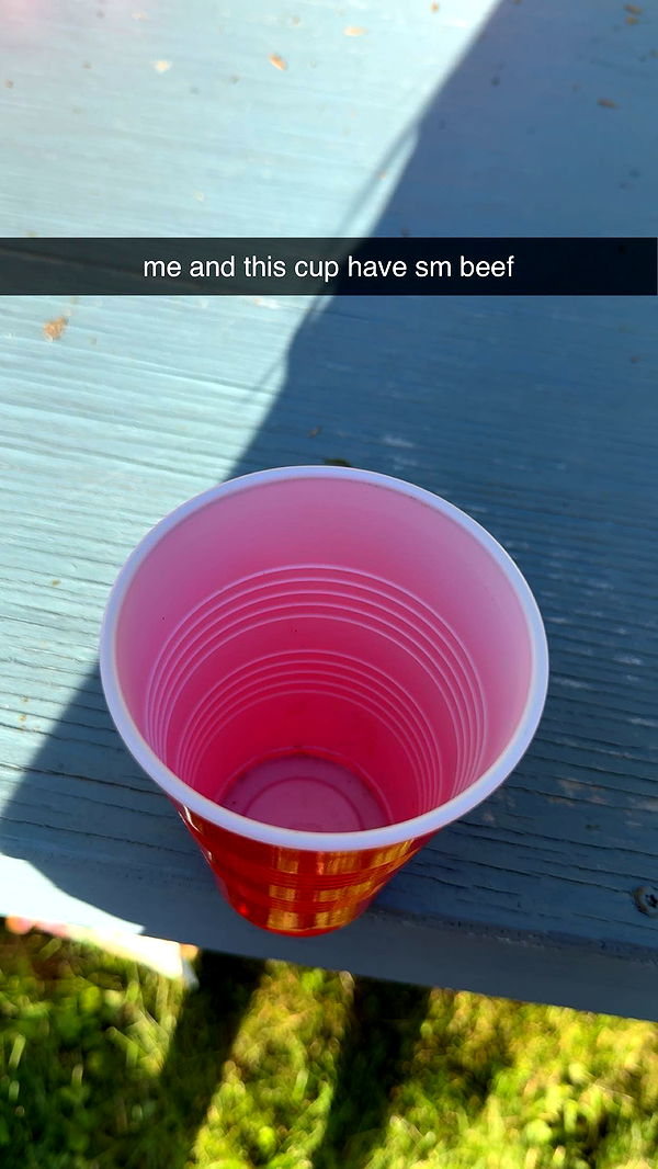 c.aitknight image ~ Altpins