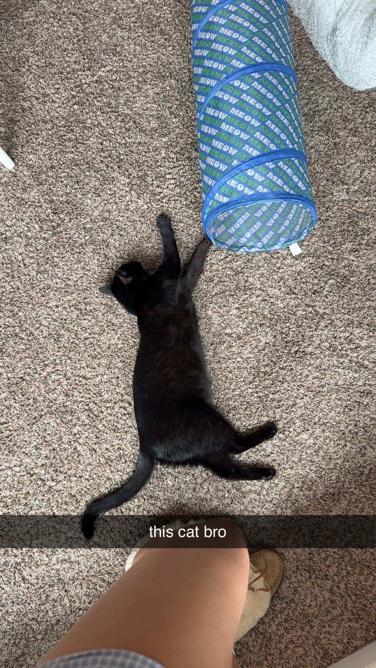 c.aitknight snapchat image archive image