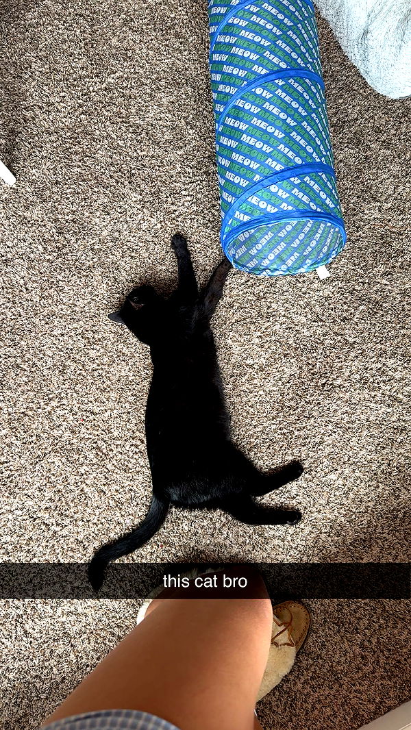 c.aitknight image ~ Altpins