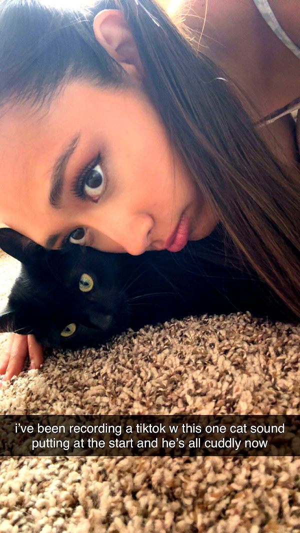 c.aitknight image ~ Altpins