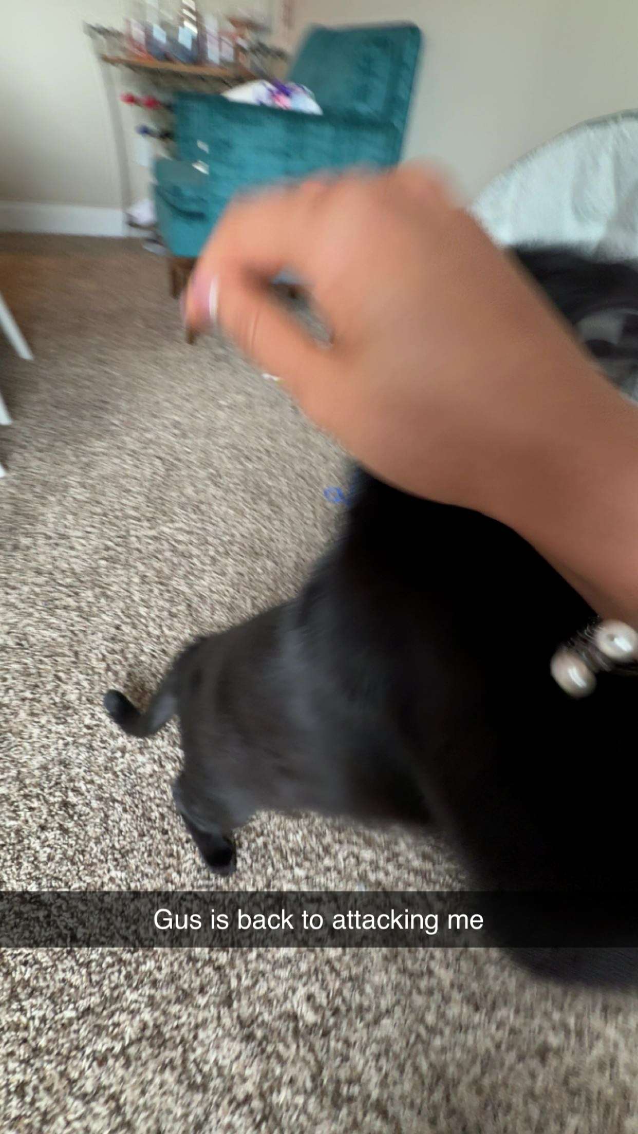 c.aitknight snapchat image archive image