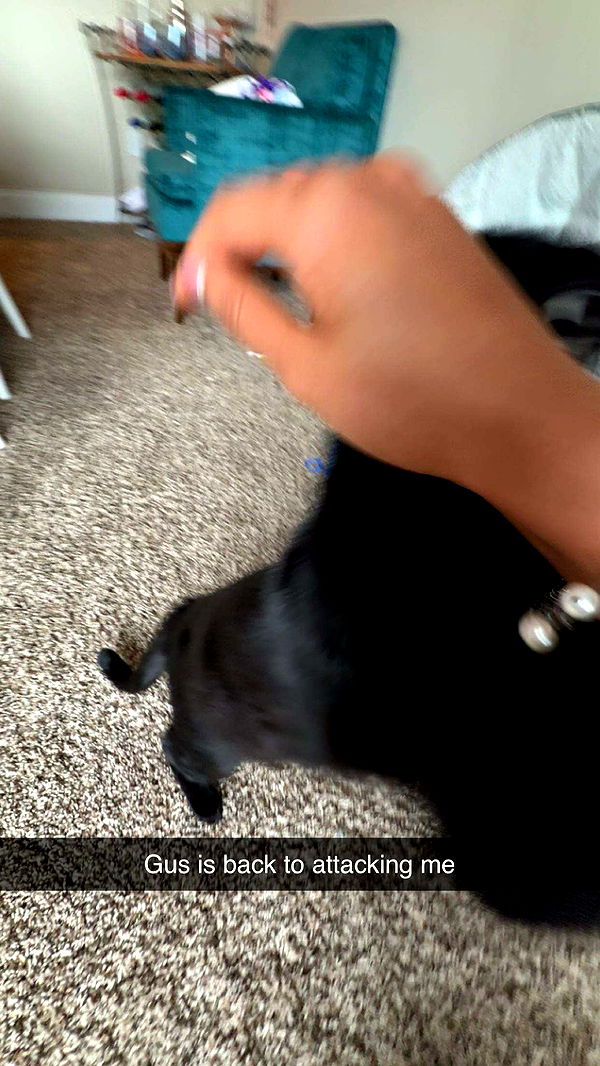 c.aitknight image ~ Altpins