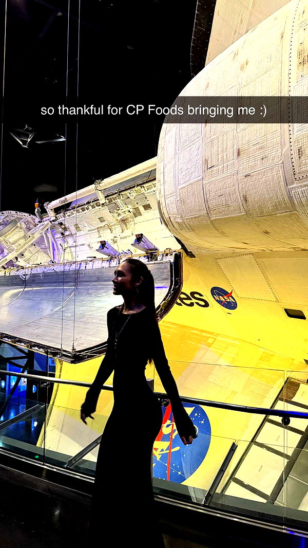 c.aitknight image ~ Altpins