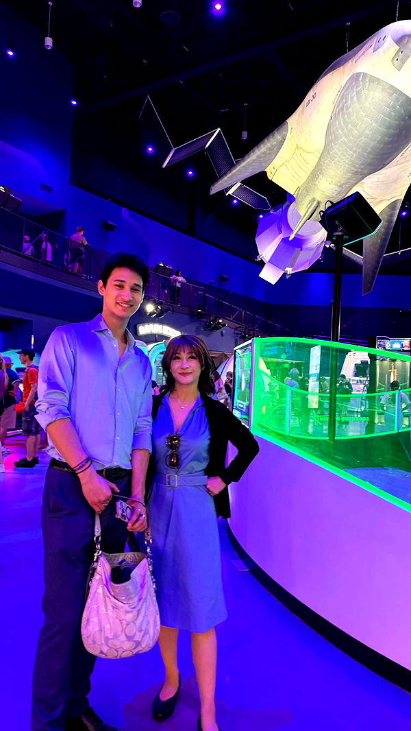 c.aitknight image ~ Altpins