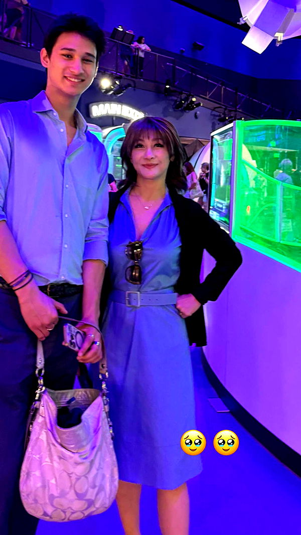 c.aitknight image ~ Altpins