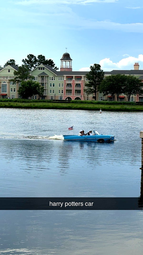 c.aitknight image ~ Altpins