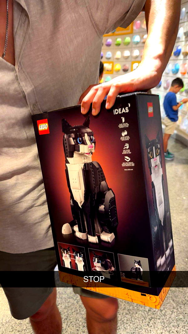 c.aitknight image ~ Altpins