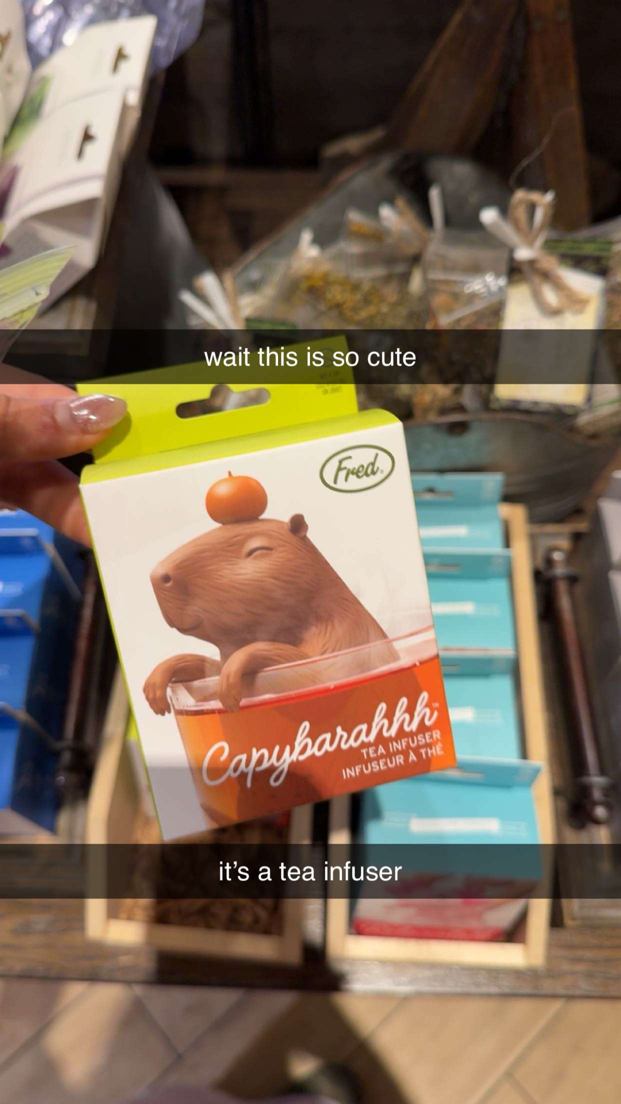 c.aitknight snapchat image archive image