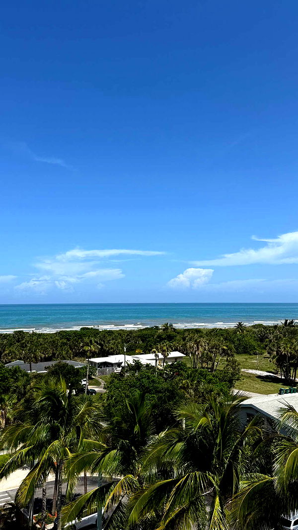 c.aitknight image ~ Altpins