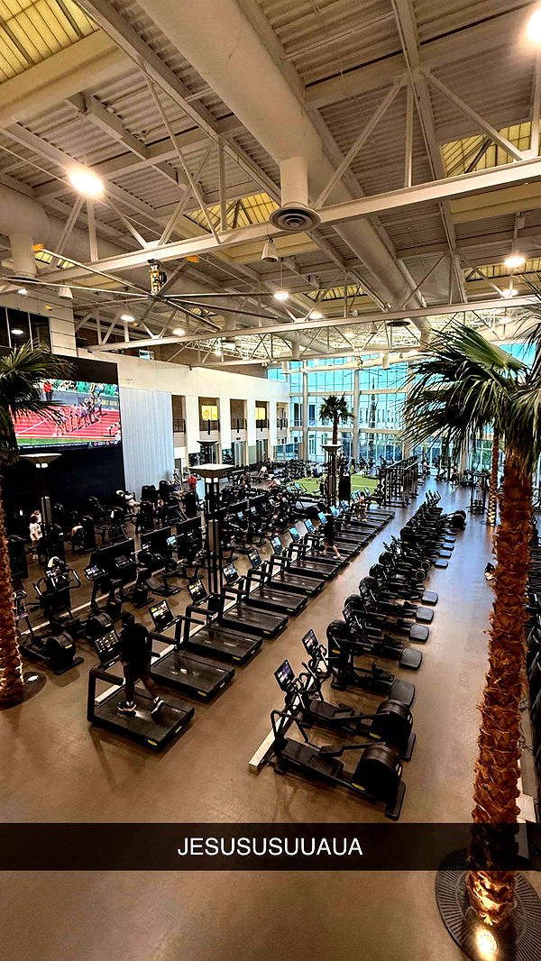 c.aitknight image ~ Altpins