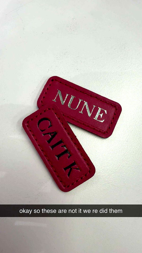 c.aitknight image ~ Altpins