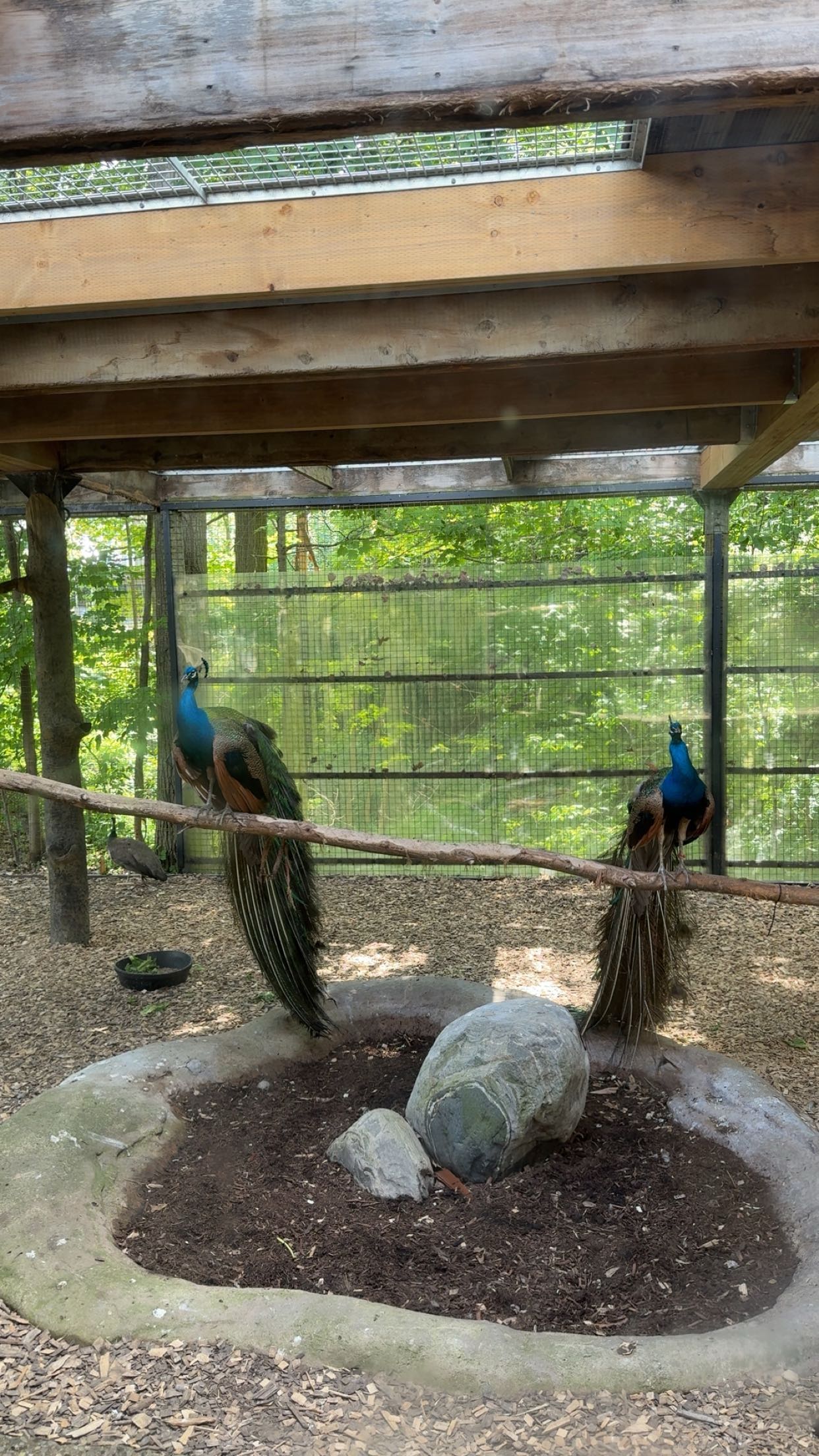 c.aitknight snapchat image archive image