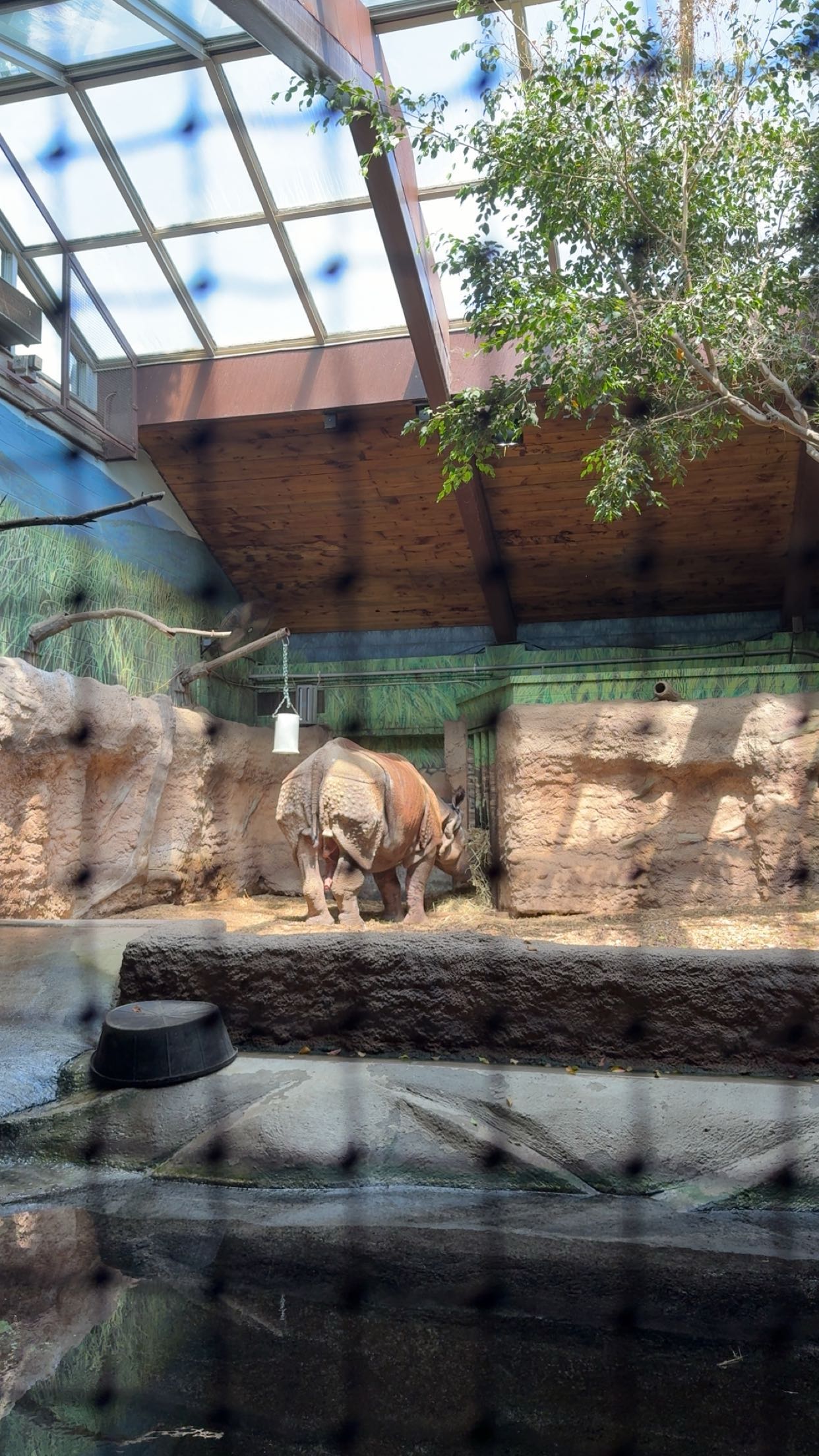 c.aitknight snapchat image archive image